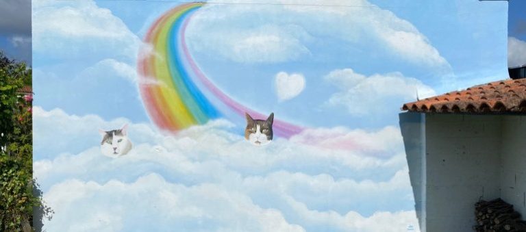Murale représentant des nuages, un arc-en-ciel et deux chats.